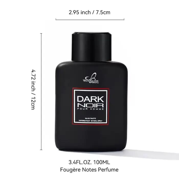 100ML 3.4FL.OZ Fougère Eau de Parfum Spray pour hommes