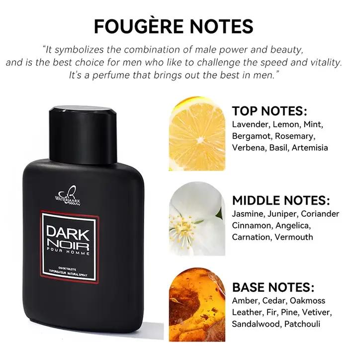 100ML 3.4FL.OZ Fougère Eau de Parfum Spray pour hommes