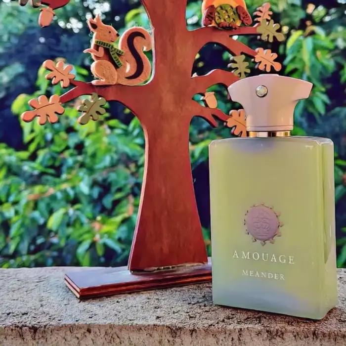 Parfum AMOUAGE GUIDANCE 46 pour Hommes et Femmes Parfum Oriental Boisé Floral Épicé Longue Durée Collection de Parfums de Luxe Élégants Occasions Spéciales et Journee Quotidienne