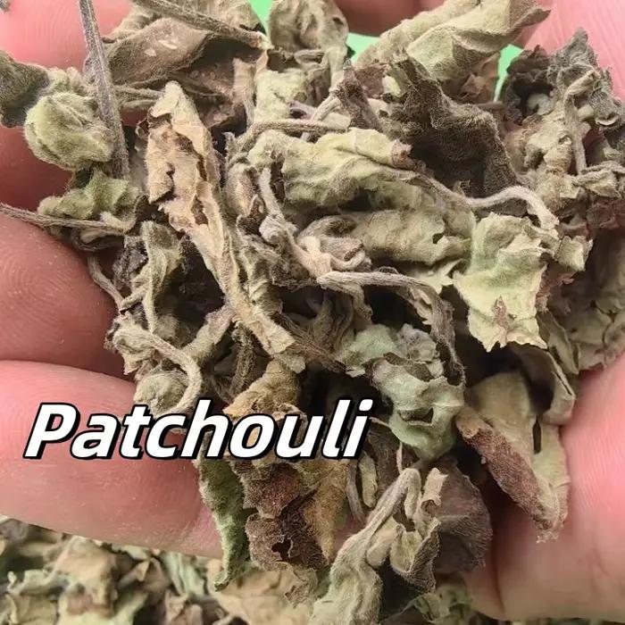 Patchouli sec de qualité, polyvalent, utilisé pour l'artisanat quotidien, parfum de savon, fabrication de parfum de maison, décoration de la maison